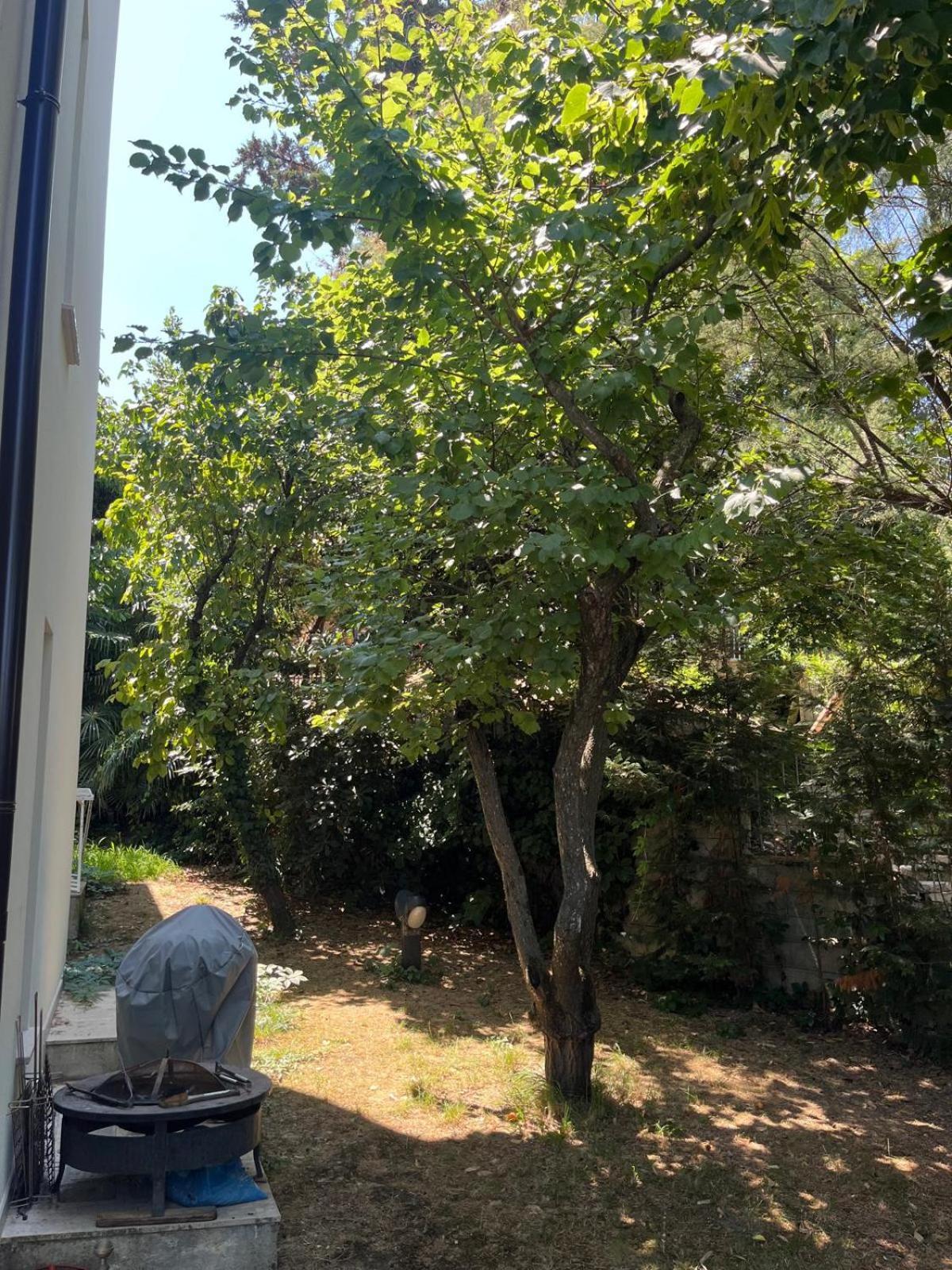 Villetta Panoramica con Giardino a Riccione Esterno foto