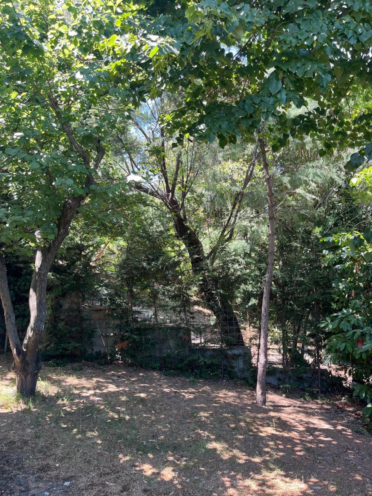 Villetta Panoramica con Giardino a Riccione Esterno foto